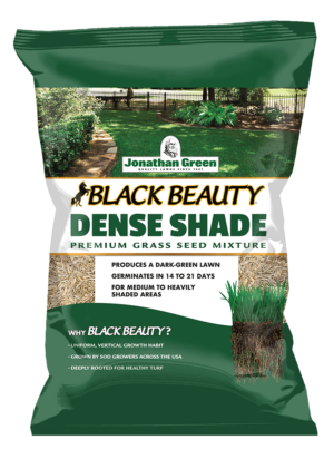 A bag of shade tolerant grass seed labeled "Black Beauty® Dense Shade Grass Seed" by Jonathan Green. It promotes dark-green lawn growth in 14-21 days and is intended for medium to heavily shaded areas.