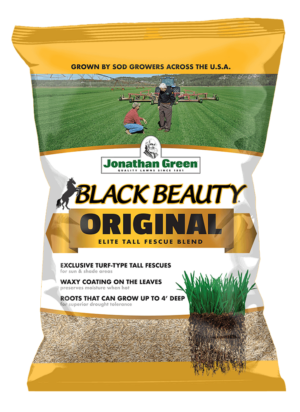 A bag of Black Beauty® Original Grass Seed showcases exclusive turf-type tall fescues, waxy leaves, and deep roots for superior drought resistance.