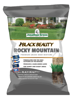 Front_of_Black_Beauty_Rocky_Mountain_Bag