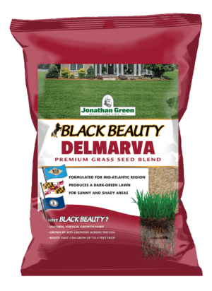 Black Beauty® Delmarva Mid-Atlantic Grass Seed