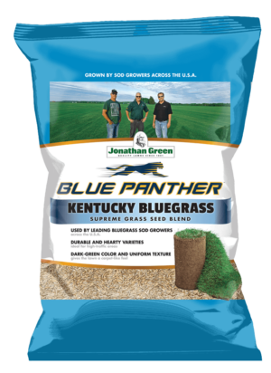 Blue Panther® Kentucky Bluegrass Grass Seed