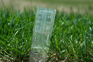 rain gauge inserted into lawn