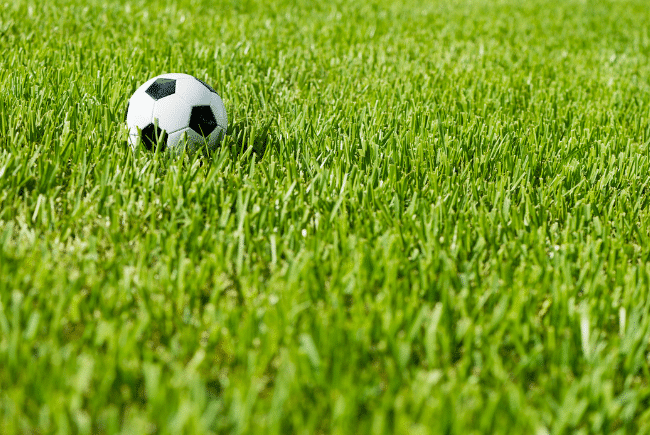 photo_of_soccer_field_with_bermuda_grass